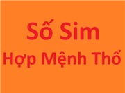 Sim hợp mệnh Thổ